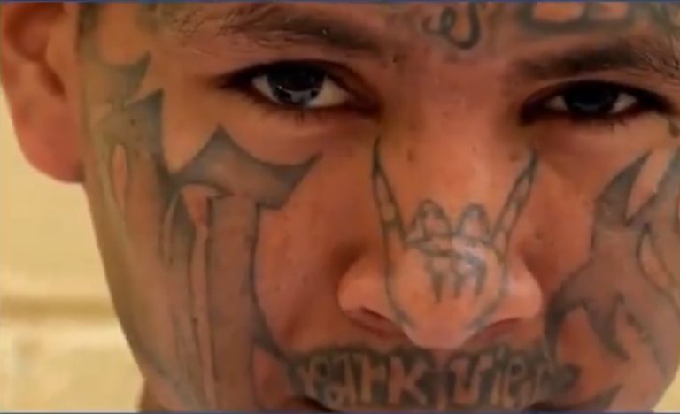 Operation Shadow of the Beast: Trump’s Border Fight Pays Off
