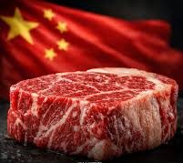 Brazil-China Beef Trade Tensions: Alckmin’s Call and the 55% Tariff – Will Beef Get More Expensive?